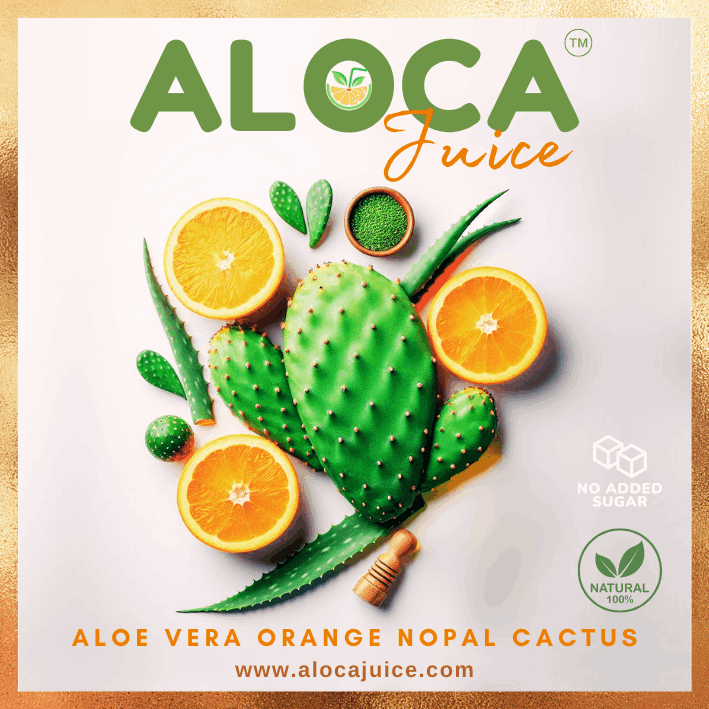 aloca drink