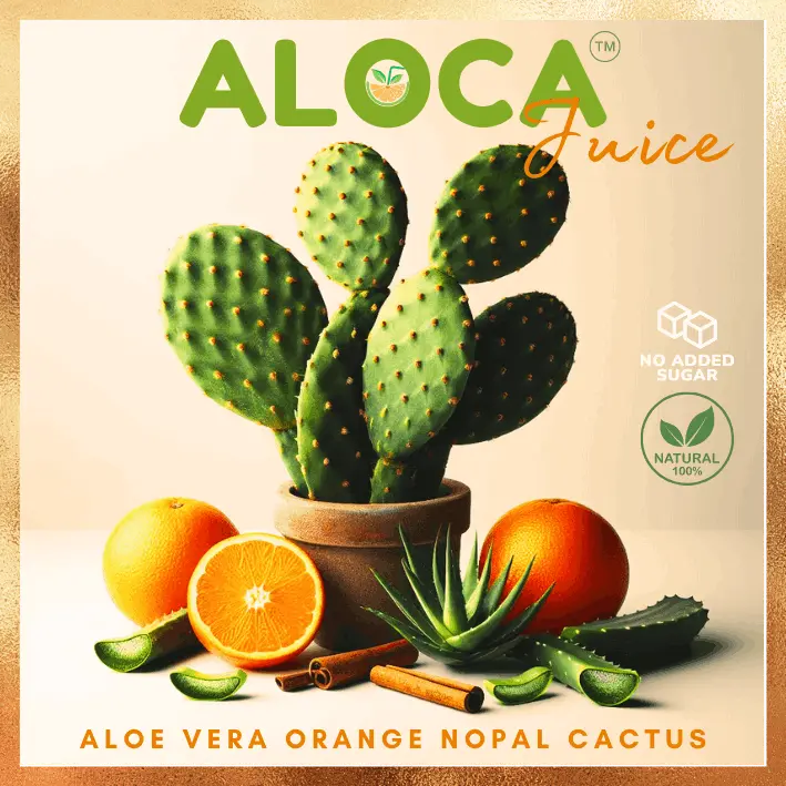 aloca drink